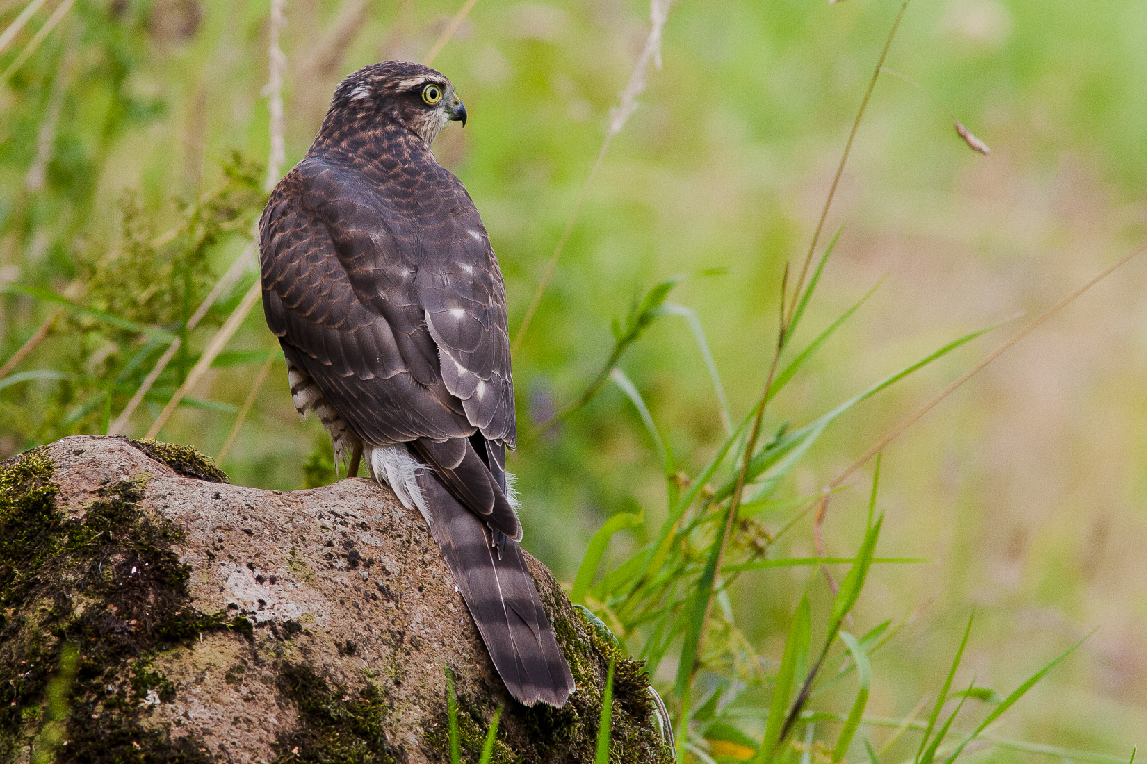 Another visit to Lochwinnoch... MasterPlan Mountaineering
