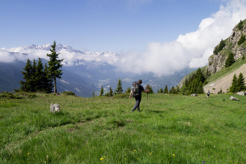 Lovely alpine meadows