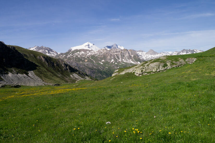 Alpine medows near the bottom of the descent