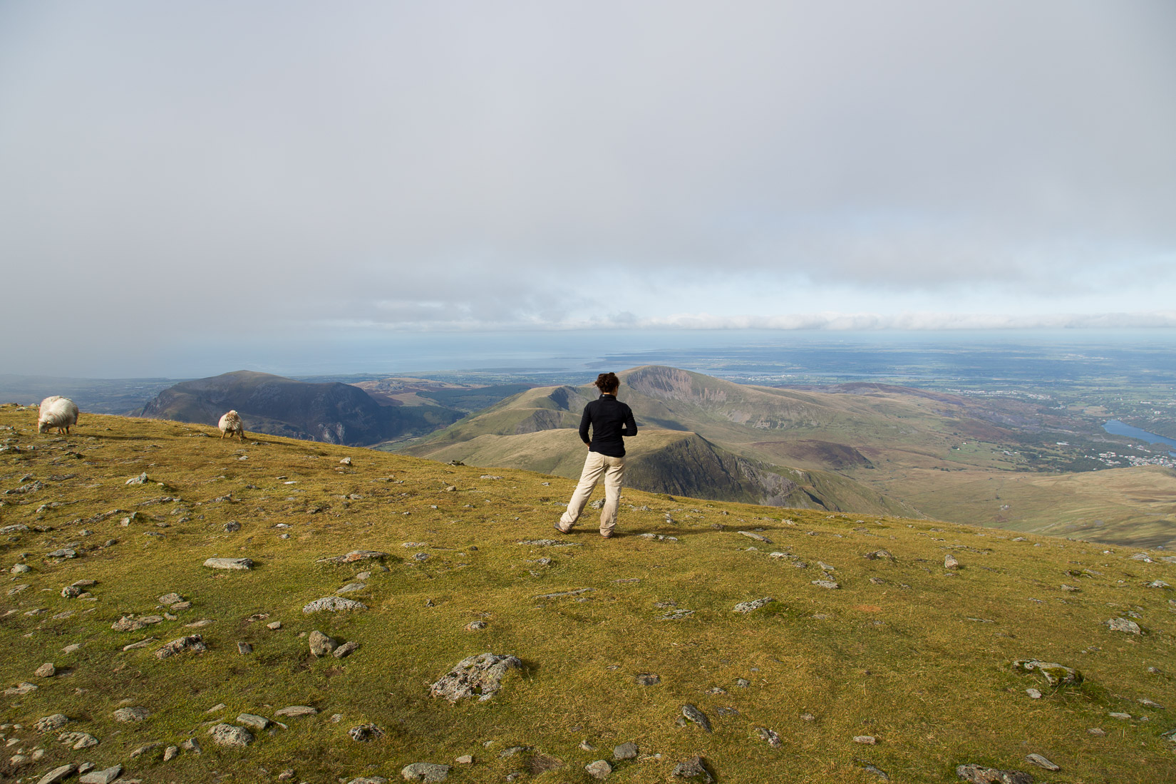 Admiring the view from Garnedd Ugain