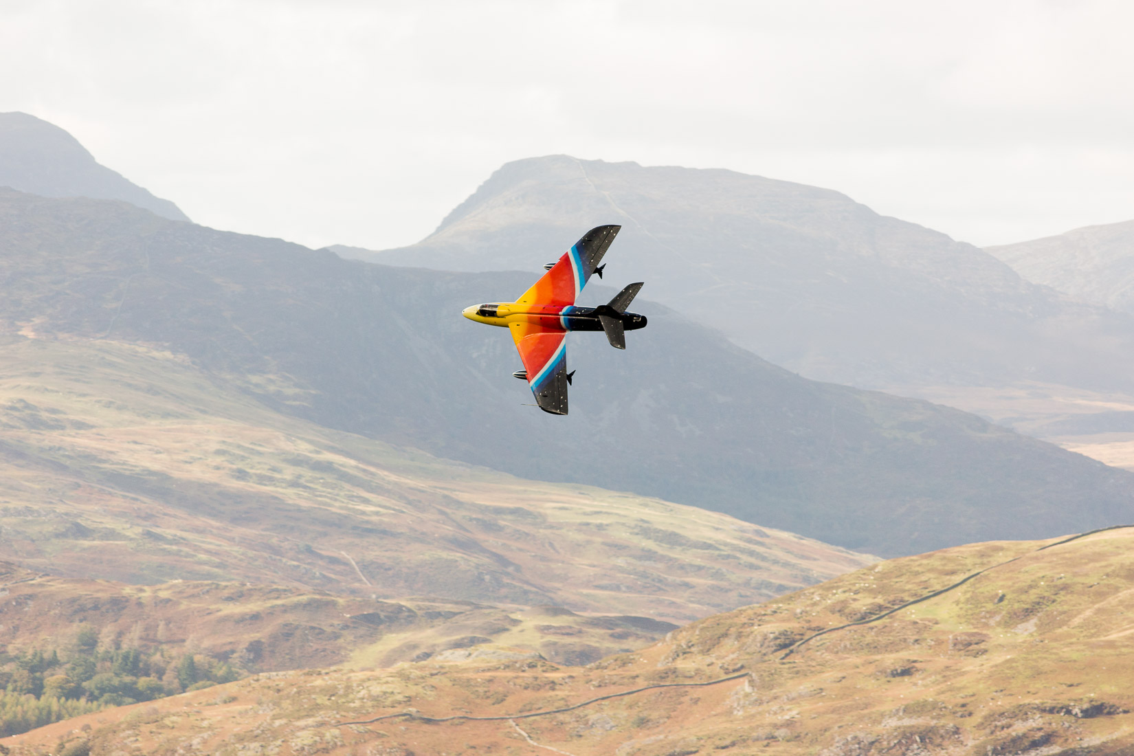 Miss Demeanour off into the distance