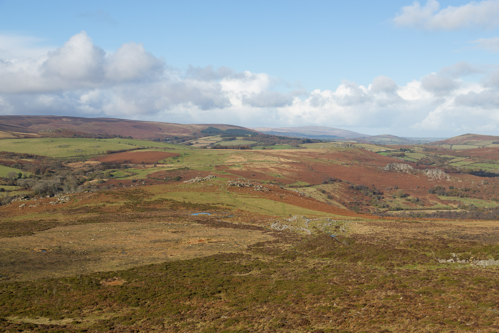 Beautiful View from Haytor