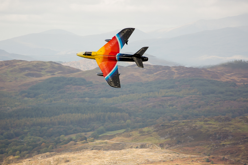 Miss Demeanour off into the distance