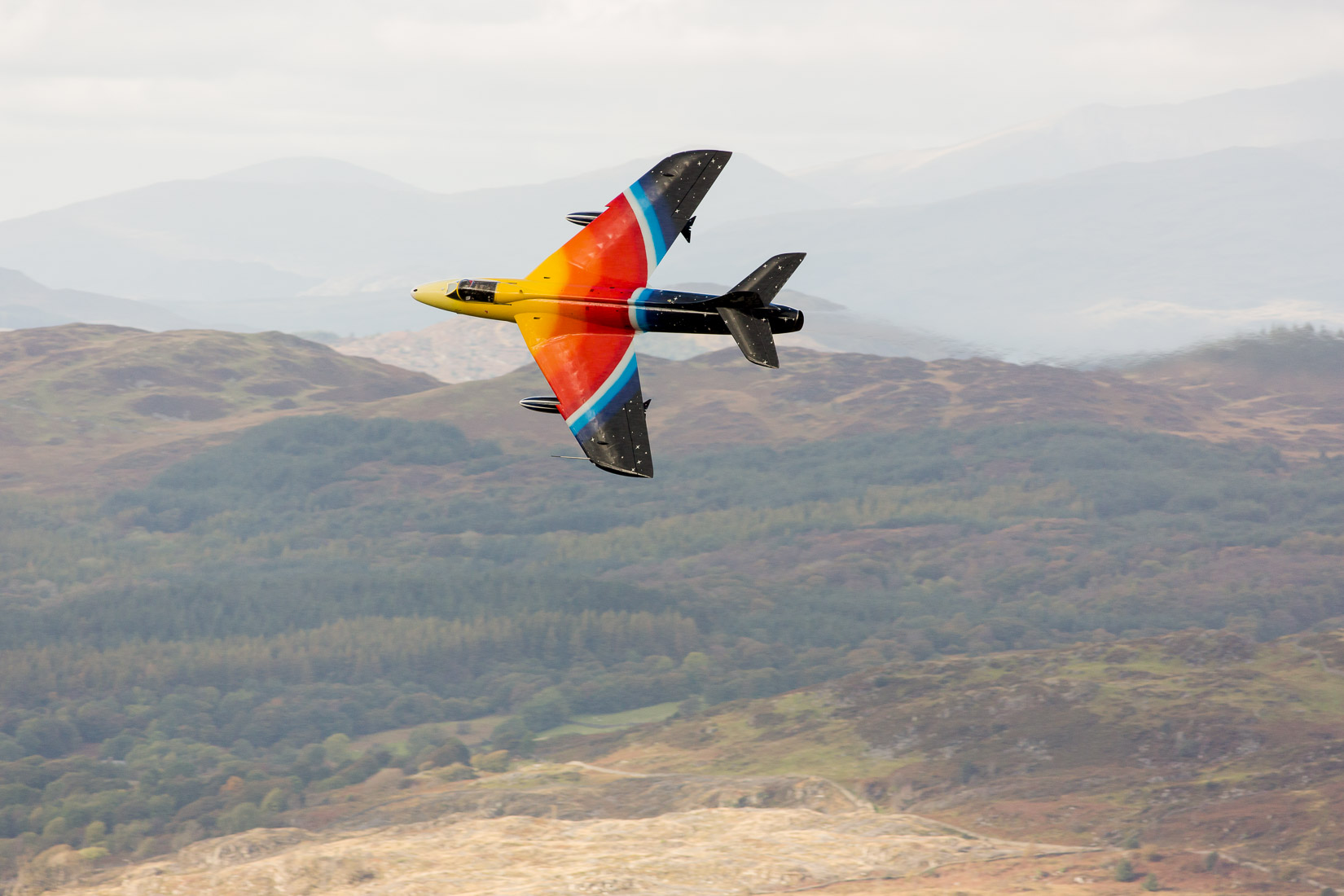 Miss Demeanour off into the distance
