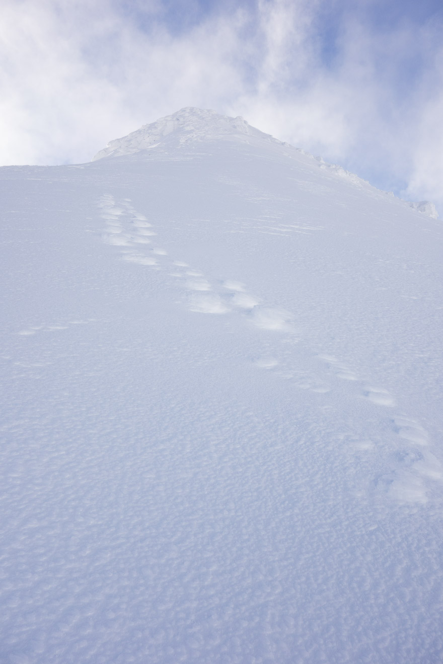 Raised Footprints on the ascent to Spiderean Choire Leith