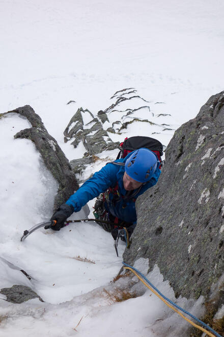 Steve near the top of P1