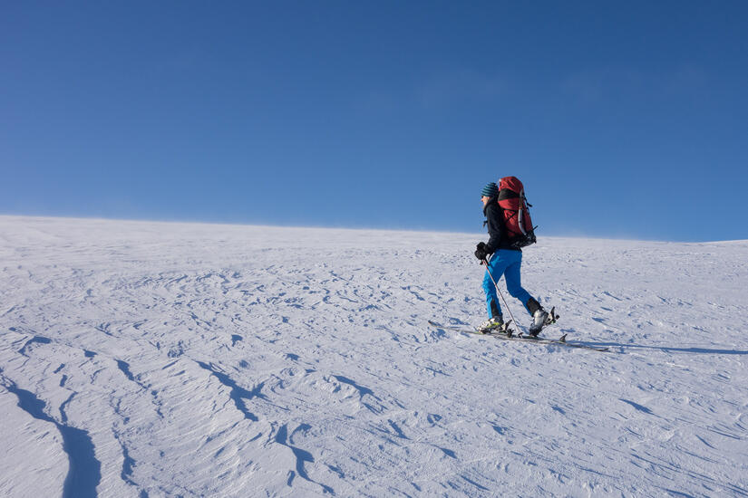 Scotland or the Alps?