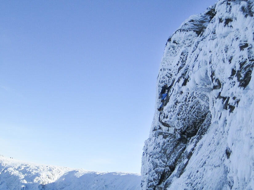 Nick high on El Mancho