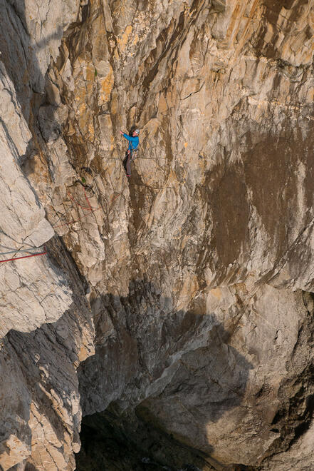 Superb exposure on the final pitch of Dream of White Horses