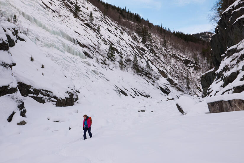 Lots of fresh snow in the upper gorge