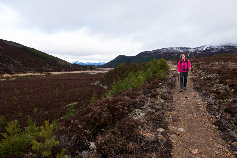 Walking up Glen Feshie