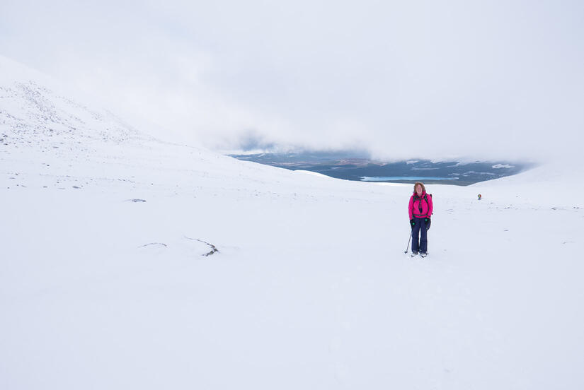 Walking in below the mist