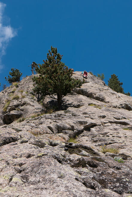 Becky leading to the top